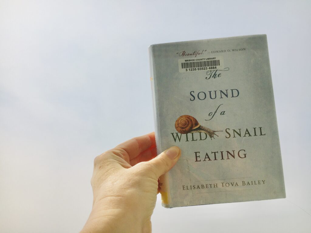 the sound of a wild snail eating review
